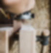 wood-in-wooden-clamp_edited.jpg