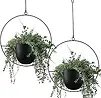 planters1.webp