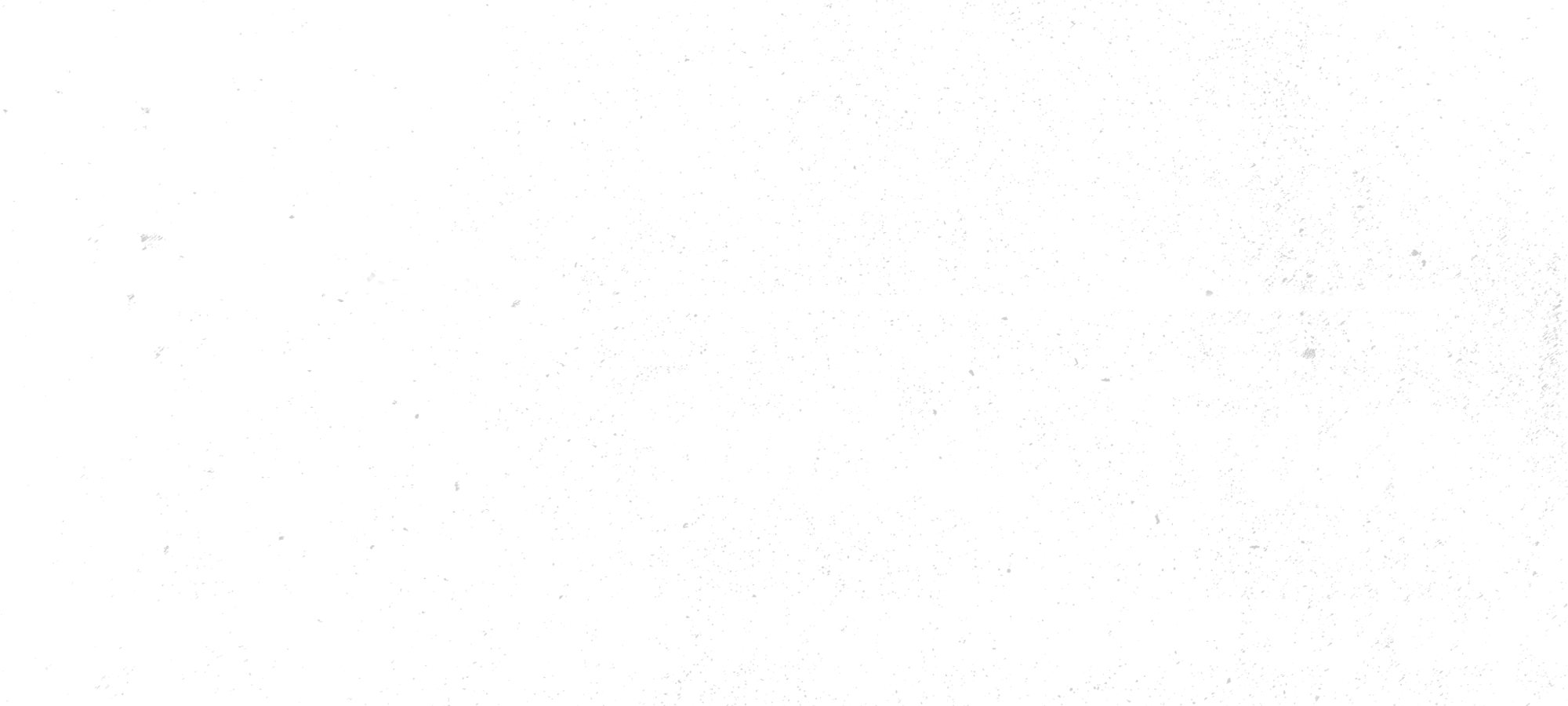 MySocialTrace banner logo white.png