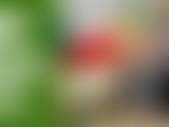 Cannabis-Agentur in Tschechien | Boulevard Spaß | DHV News #31