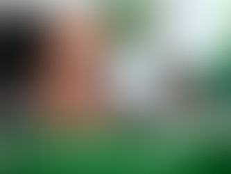 Die Legalize-Anhörungen (Video)