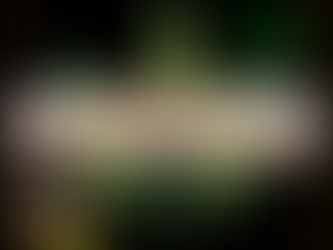 Berlin-Wahl: Hanfverband erwartet Trendwende in der Cannabispolitik