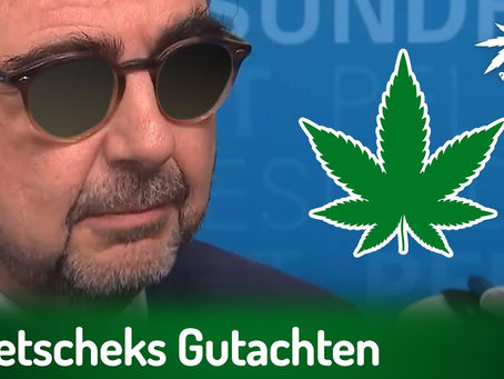 Holetscheks Gutachten gegen Legalisierung | DHV-Video-News #371