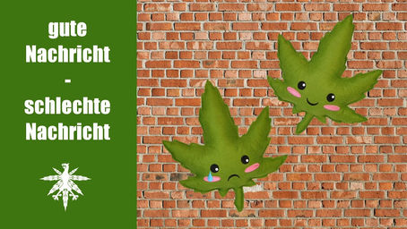 Legalizer rennen gegen die Wand – und nehmen wieder Anlauf | DHV News #65