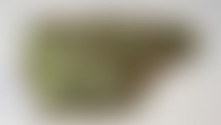 Cannabisverkauf an schwerkranke Menschen – Dänischem Paar drohen bis zu 10 Jahre Gefängnis