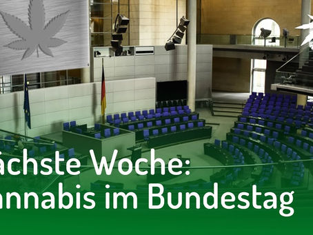 Nächste Woche: Cannabis im Bundestag | DHV-Video-News #154