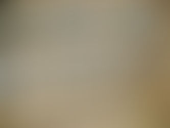 Bremen: Rot-Grüne Koalition für Cannabis-Regulierung