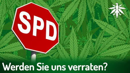 Werden sie uns verraten, die Sozialdemokraten? | DHV-Video-News #403
