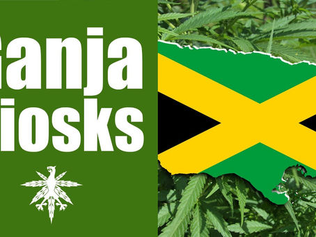 Jamaika: Ganja-Kiosks für Touristen | DHV-Video-News #87