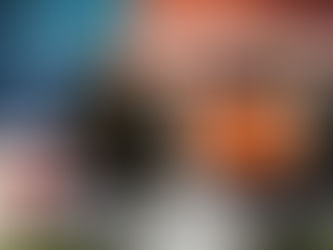 Die größte Drogenkonferenz der USA: DPA Reform Conference 2015 | DHV USA Tour 2015 Video Part 10/10