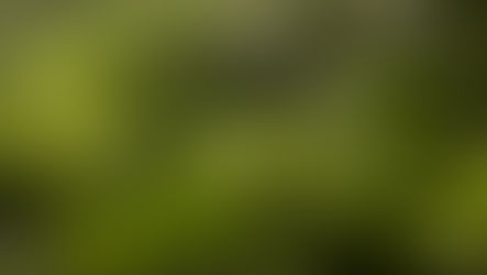 Sucht in Deutschland – das sagen die offiziellen Zahlen