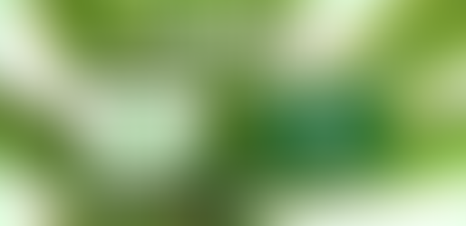 Spendenkampagne zur Cannabis Medizin Petition