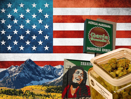 So kauft man Cannabis in einer amerikanischen Dispensary – Ganja Gourmet | DHV USA Tour 2015 V