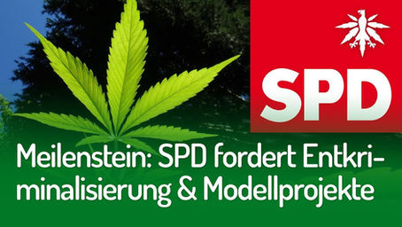 Meilenstein: SPD-Fraktion für Entkriminalisierung und Modellprojekte | DHV-Video-News #237