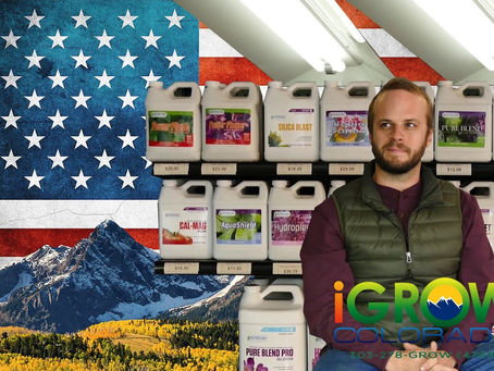 Homegrowing in Colorado boomt – Growshop iGrow Denver | DHV USA Tour 2015 Video Part 7/10