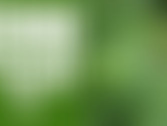 CDU warnt: Cannabislegalisierung droht! | DHV-Video-News #92