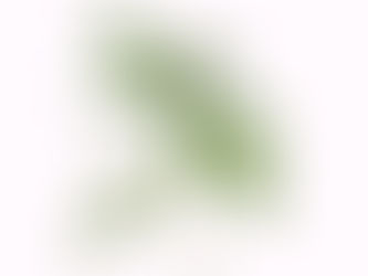 German Court forces government to give out first license to grow medical cannabis