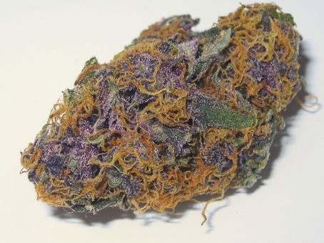 Südafrikas Entkriminalisierung steht auf der Kippe