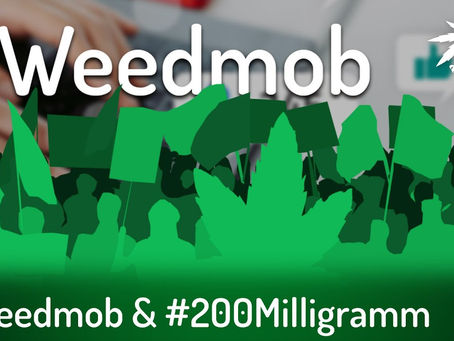 #weedmob & #200Milligramm | DHV-Video-News #326
