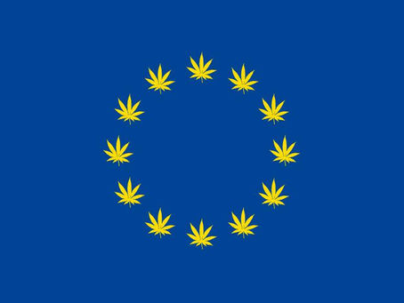 Europawahl 2014: Für eine sichere und gesunde Drogenpolitik