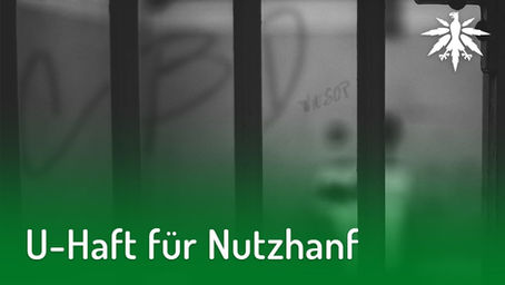 U-Haft für Nutzhanf | DHV-Video-News #180