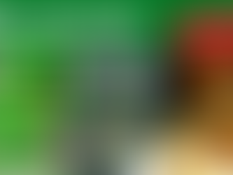 DHV-Weihnachtsspendenaktion 2020/21 – wieder ein Rekordergebnis!