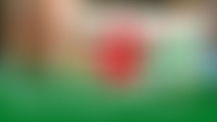 Misstrauen gegen Patienten | DHV-Video-News #233