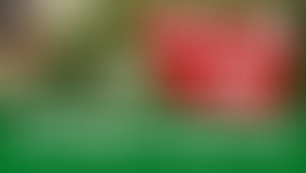 Cannabis gegen Wirtschaftskrise | Was bringt eine Legalisierung? (Video)