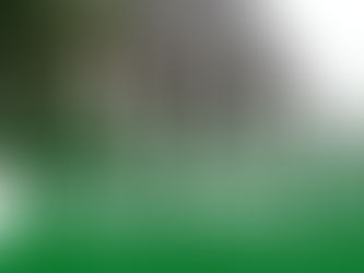 Mini-Skandal: Grüner mit Gras | DHV-Video-News #118