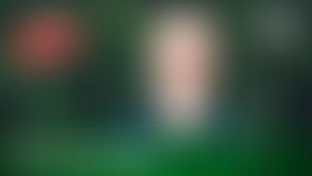 Live: 20 Jahre DHV (Video)