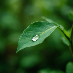 Energizing Breathwork Sessions