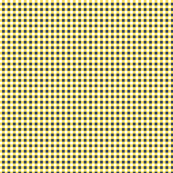 Gingham Pattern.png