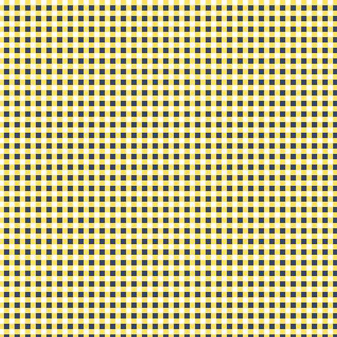 Gingham Pattern.png