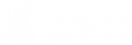 logo mbm