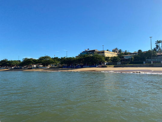 Projeto comunitário transforma espaço urbano em horta sustentável