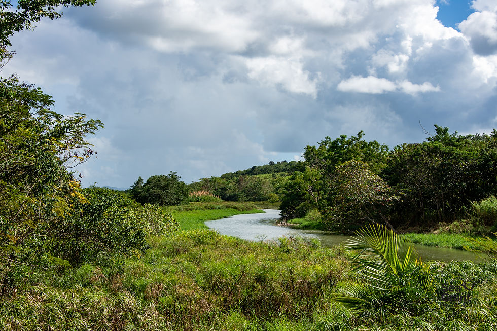 paisajes pichon-6.jpg