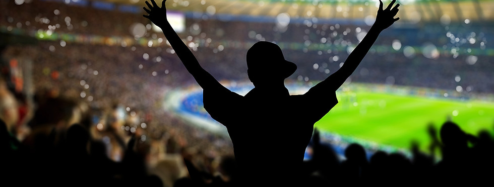 Celebrating Sports Fan