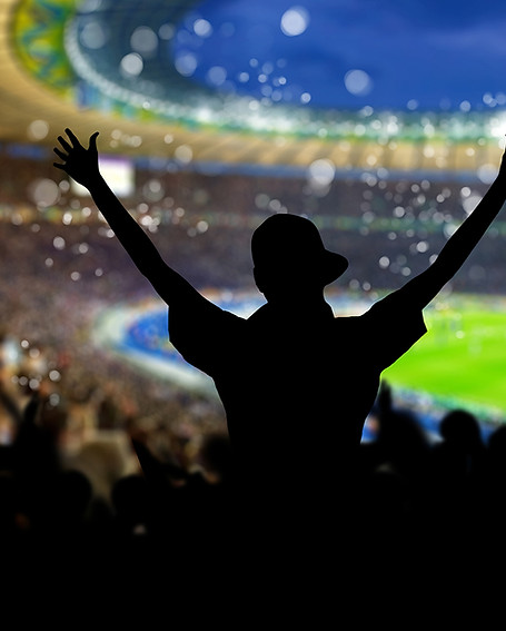 Celebrating Sports Fan