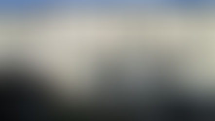 AREA DEL VECCHIO CEPPO.