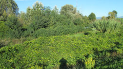 SITUAZIONE EX CAMPO DI VOLO.