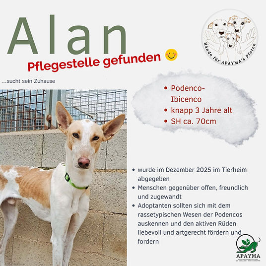 Steckbrief Alan_neu.jpg