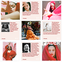 FADER_MR_rosalia_grid.png