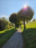 20251012_142335.jpg