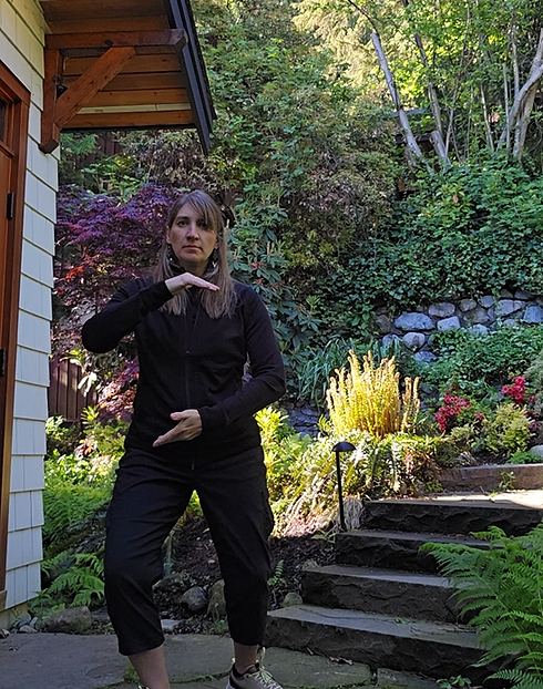 Screenshot me tai chi ward off.png