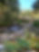 Remote Cabin & Stream