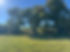 Prairie Grasslands