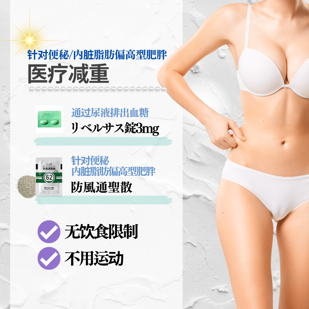 针对便秘/内脏脂肪偏高型肥胖 / 便秘・内臓脂肪肥満 【90天分分量】