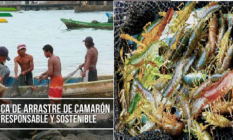 La Pesca de Arrastre ¿Qué Conocemos?