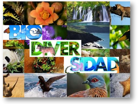 Biodiversidad