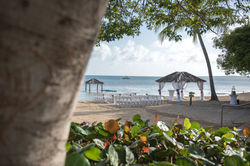 Boston Indian Wedding Planner